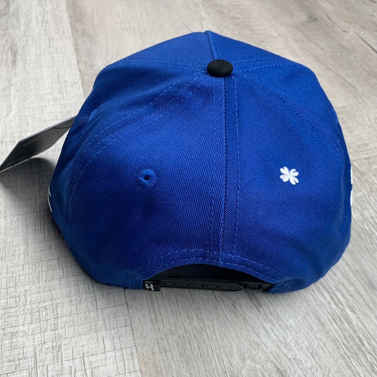 Blue Clover Cap