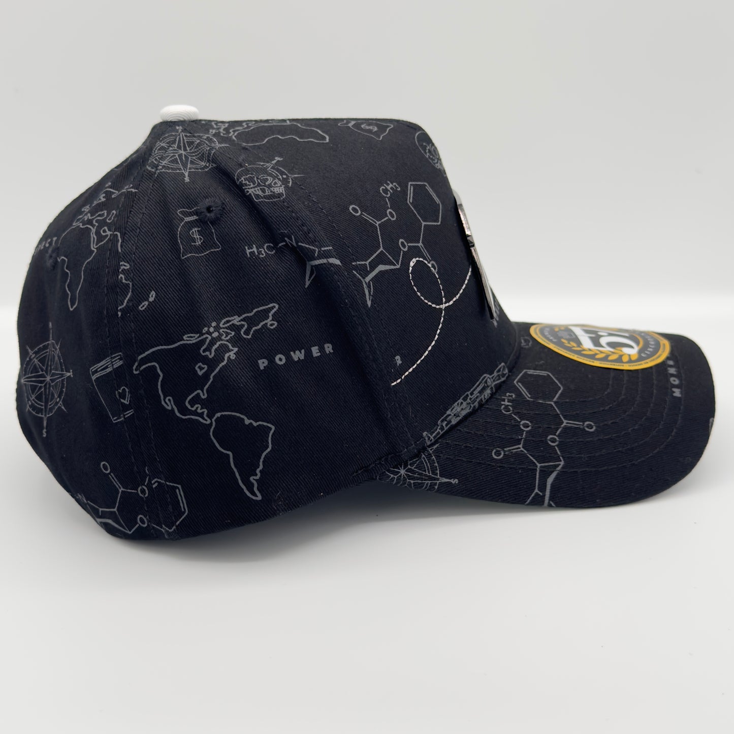 Full Print Money Plane Cap